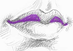 как нарисовать губы